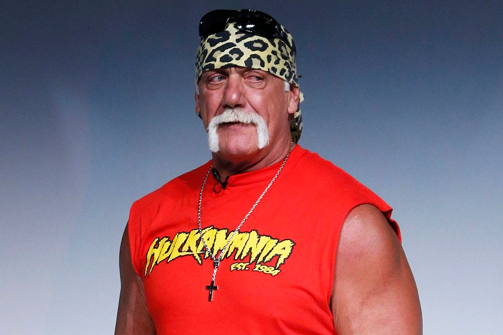 gawker v hogan gawker v hogan