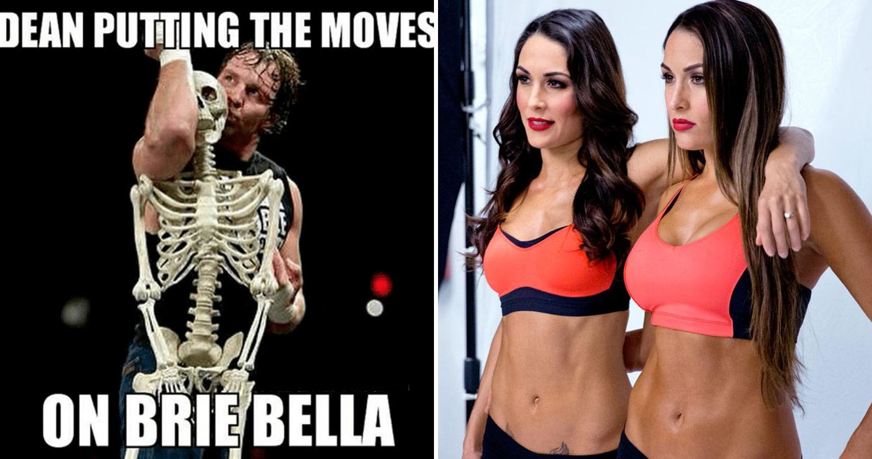 John Cena Vs Nikki Bella Xxx Videos - 15 Savage AF Memes About The Bella Twins | TheSportster
