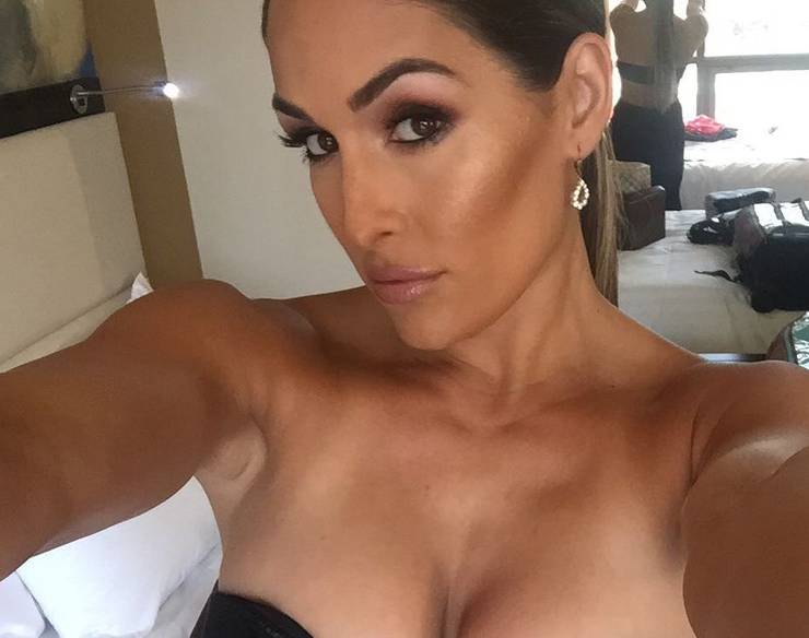 Wrestlers With The Sexiest Boobs Thesportster