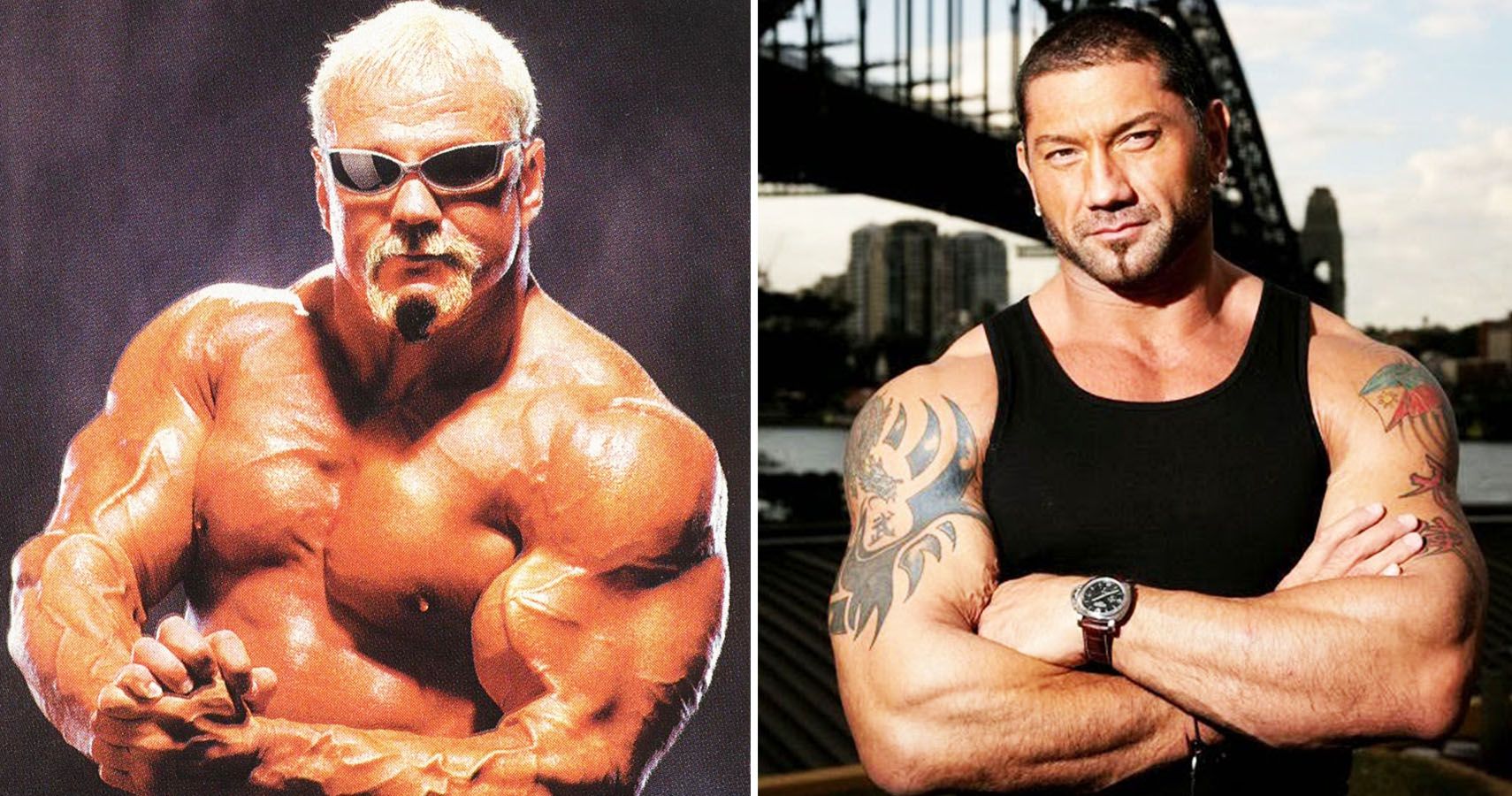 former-wwe-stars-who-were-legitimate-tough-guys-and-who-were-only-tough