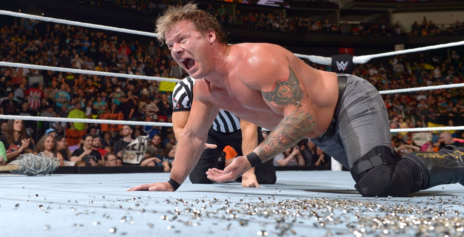Wwe на русском от 545. Фитсборн Джерико. Chris Jericho attires WWE.