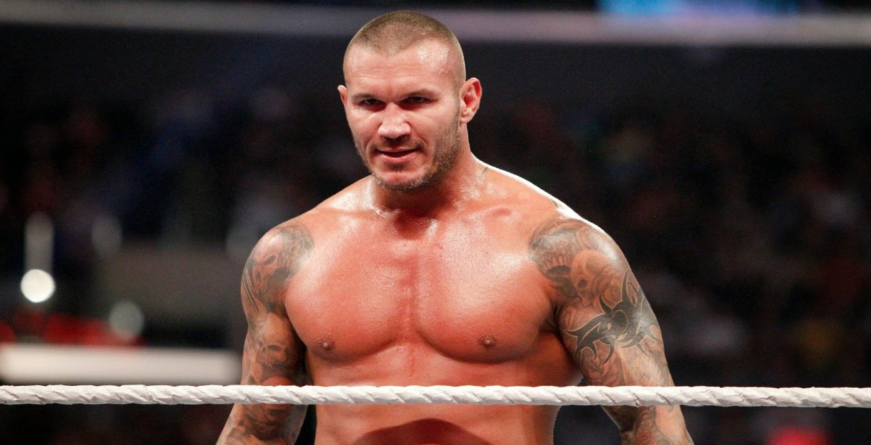 The Legend Killer 10 WWE Hall Of Famers Randy Orton Attacked