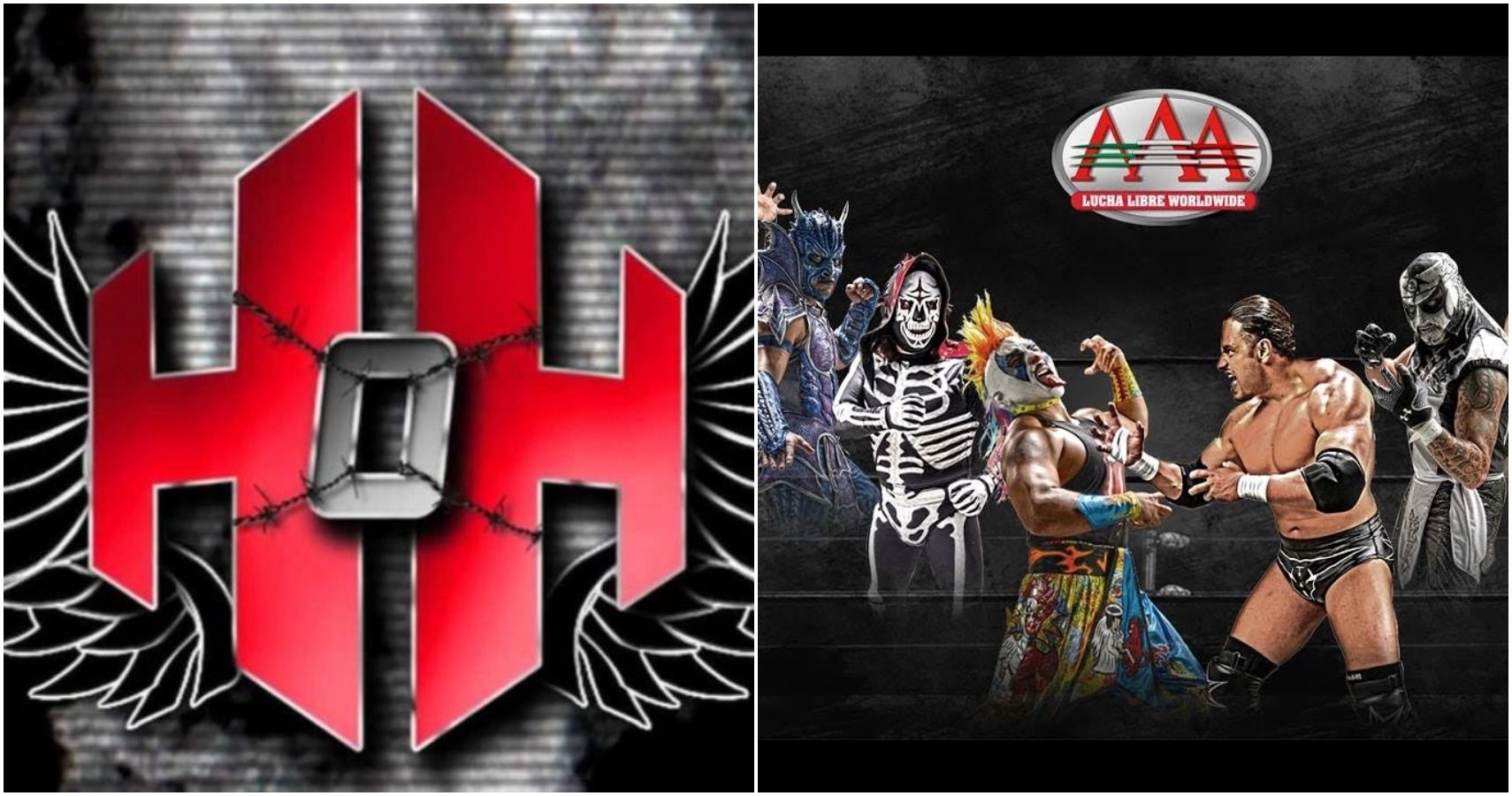 What Does A Wrestling Promoter Do at Elizabeth Murphey blog