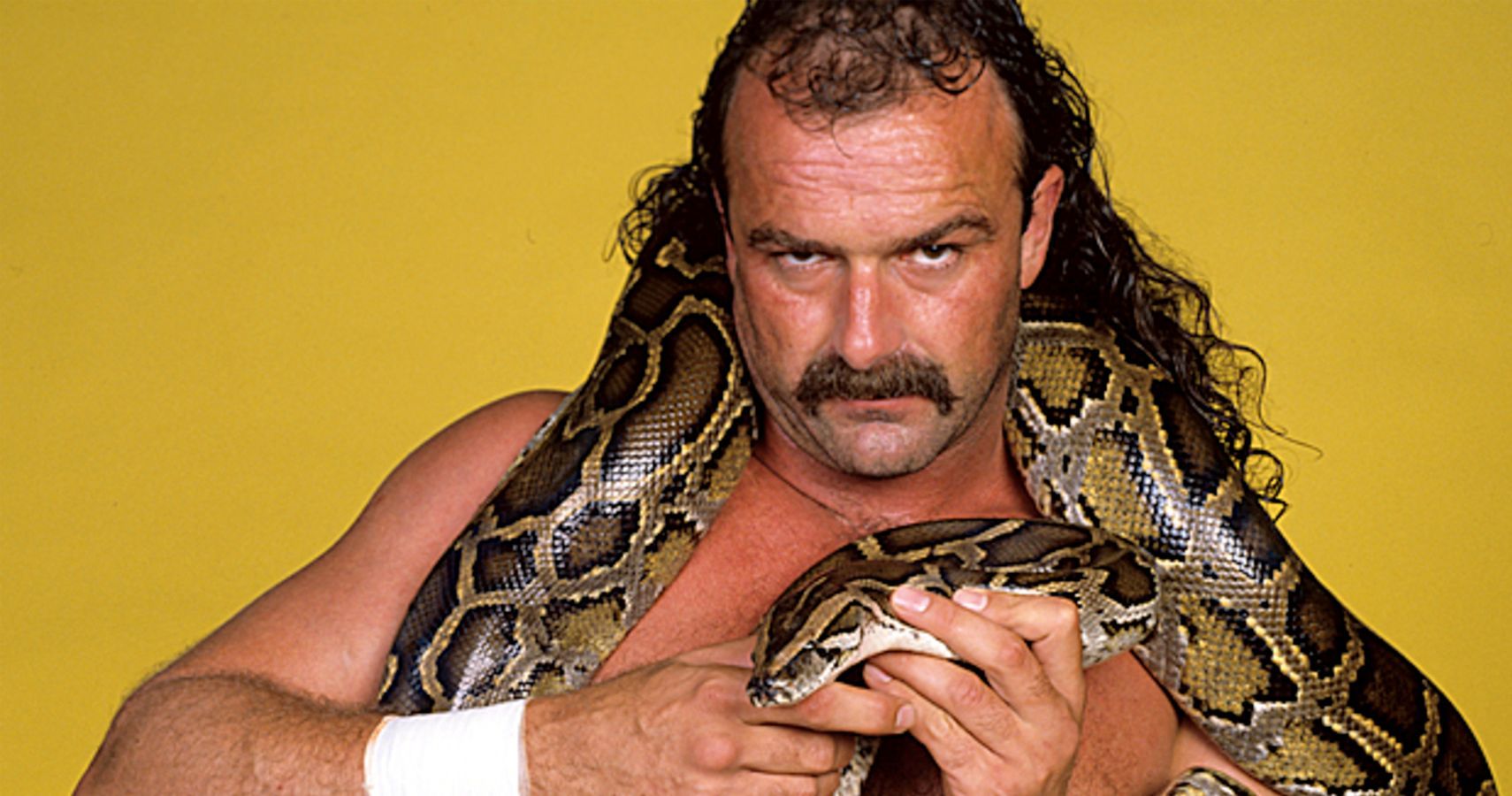 The 10 Worst Things Jake "The Snake" Roberts Ever Did (In Wrestling)