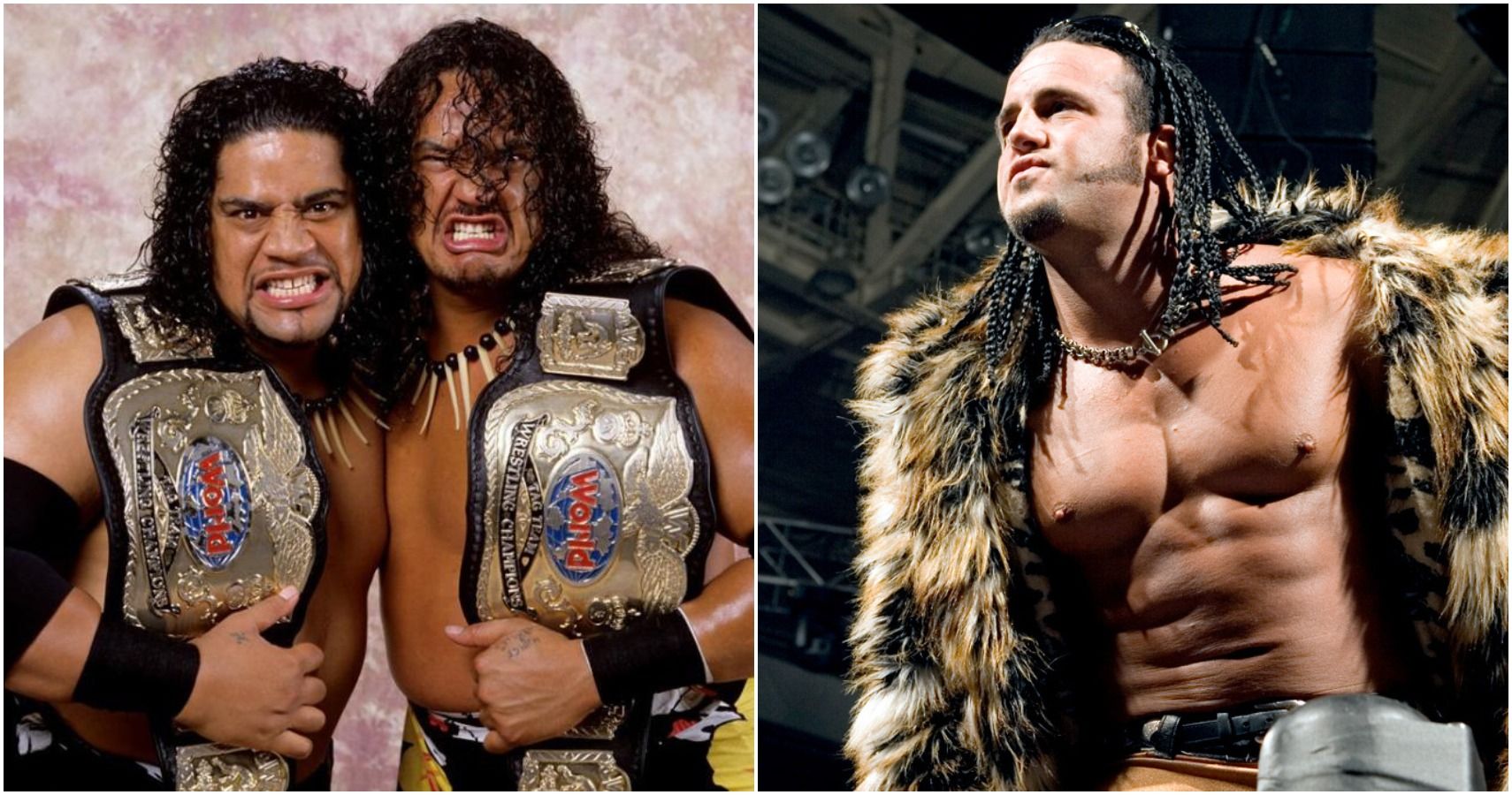 10-tag-team-wrestlers-who-couldn-t-succeed-without-their-partners